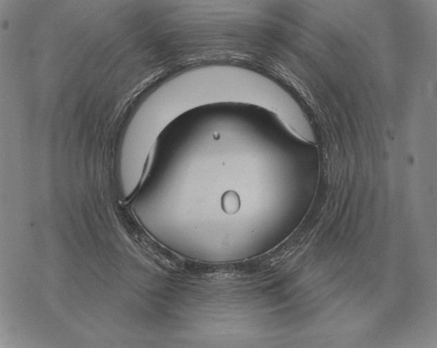 X0000070360356200606301836