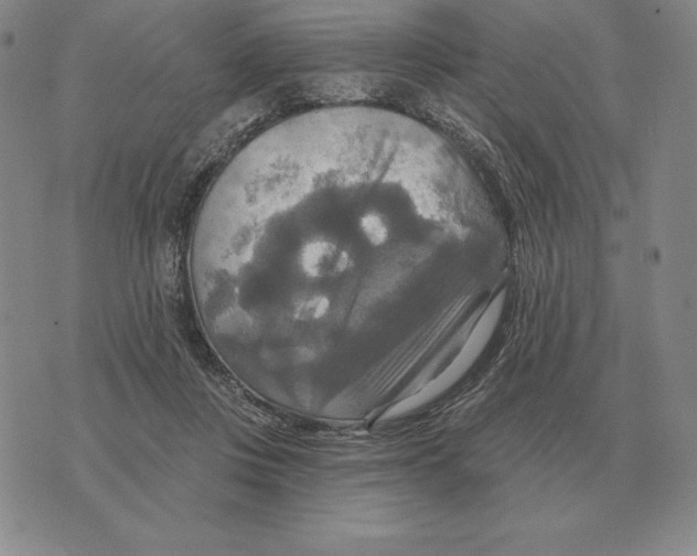 X0000070360359200606301836