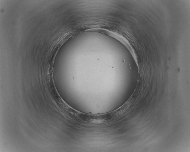 X0000070360360200606301836