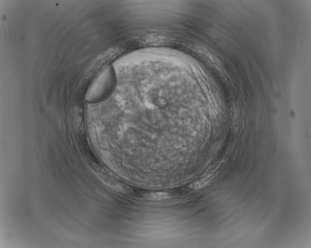 X0000070360361200606301836