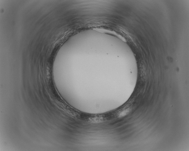 X0000070360362200606301836