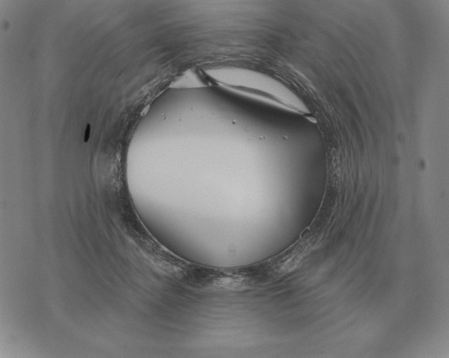 X0000070360364200606301837