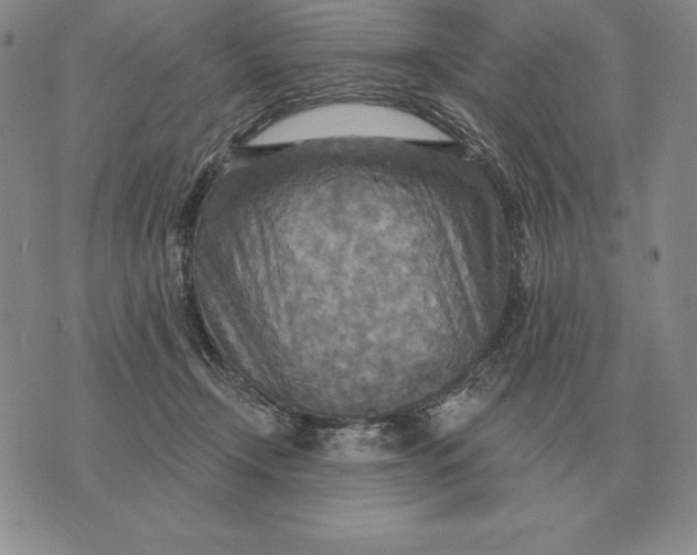 X0000070360366200606301837