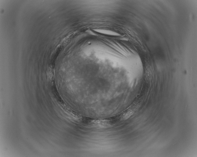 X0000070360367200606301837