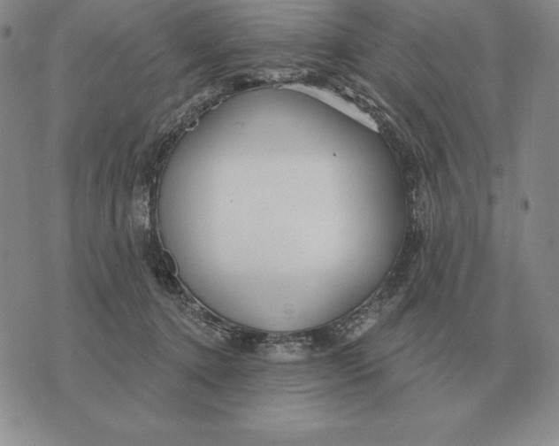 X0000070360368200606301837