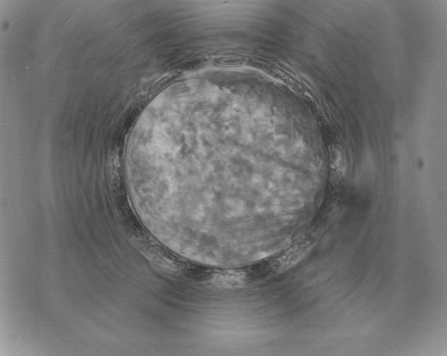 X0000070360369200606301837