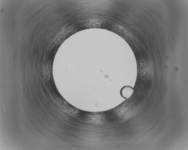 X0000070360370200606301837