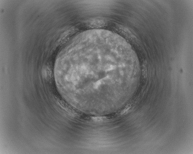 X0000070360371200606301837