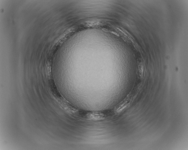 X0000070360372200606301837