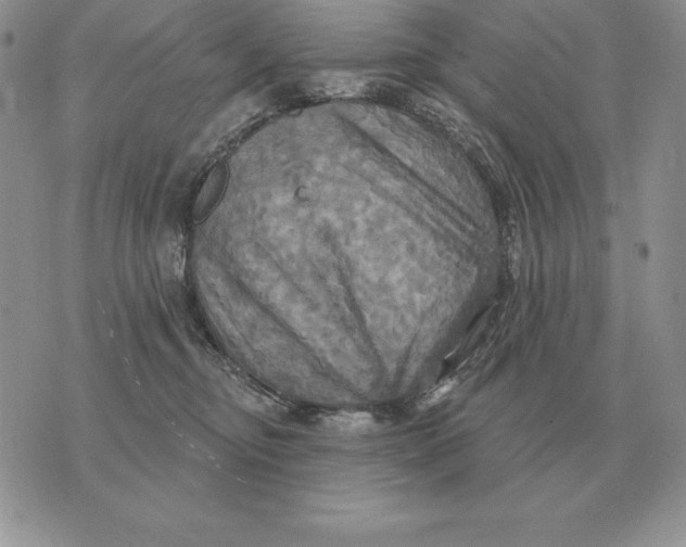 X0000070360374200606301837