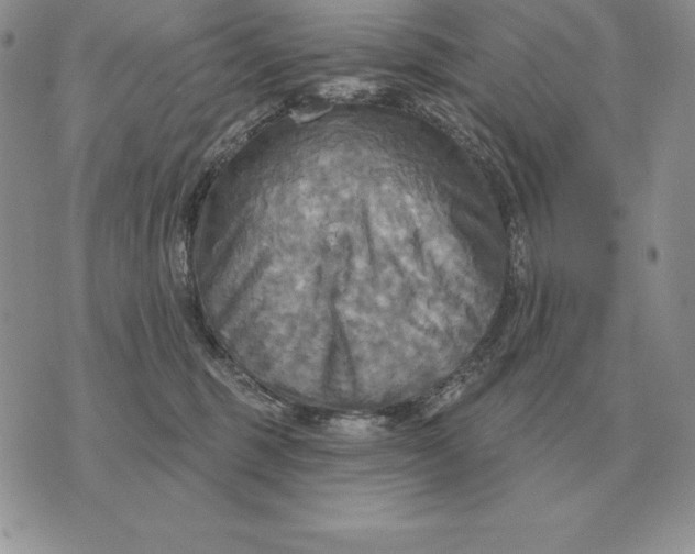 X0000070360375200606301837