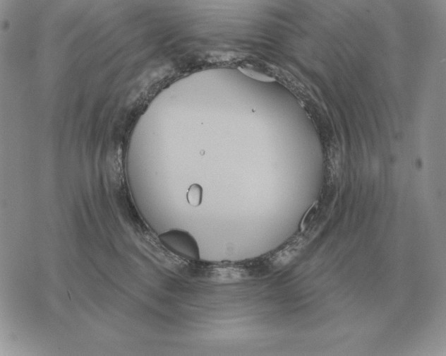 X0000070360376200606301837