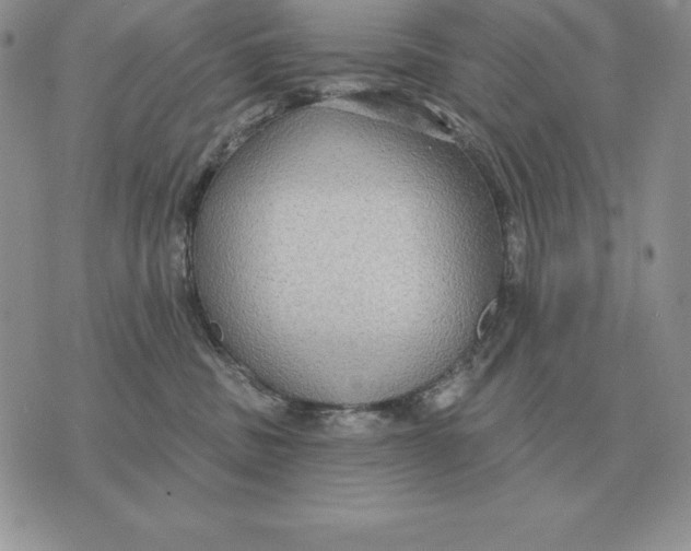 X0000070360379200606301837