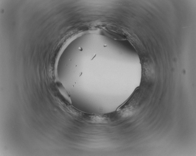 X0000070360380200606301837