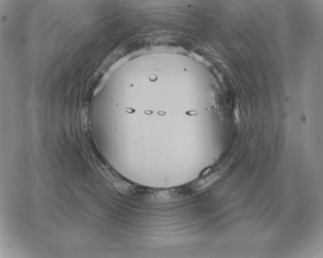 X0000070360382200606301837