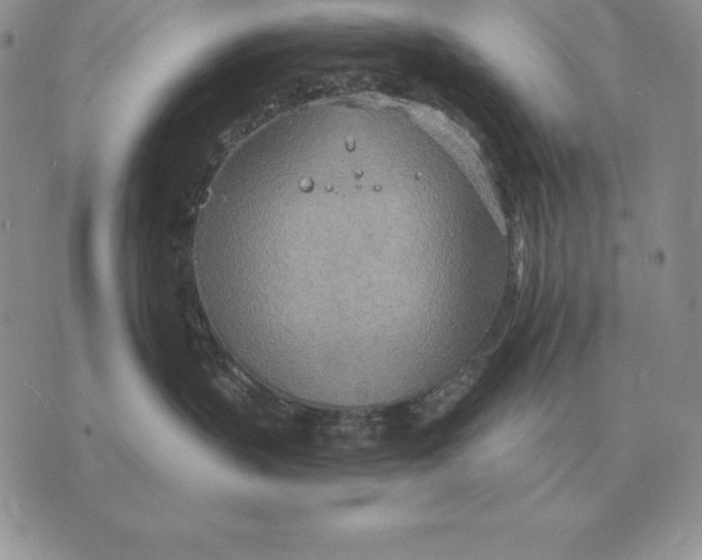 X0000070360383200606301837