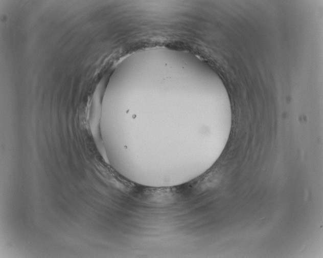 X0000070360384200606301837