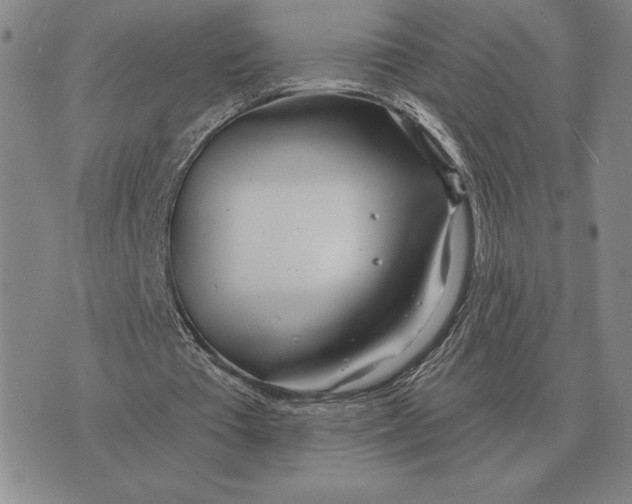 X0000070360385200606301836