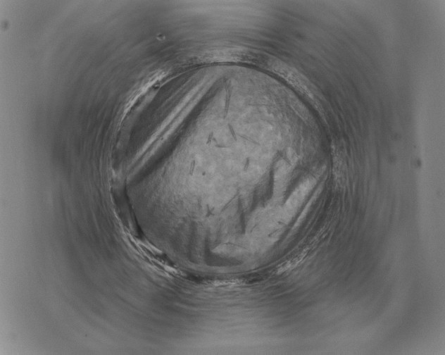 X0000070360386200606301836