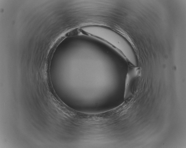 X0000070360387200606301836