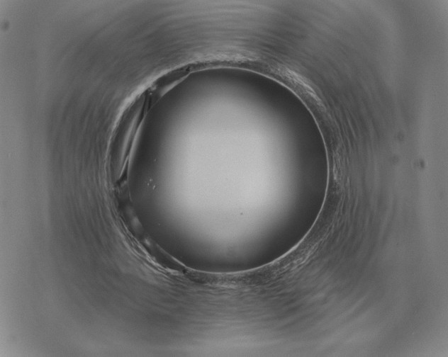 X0000070360388200606301836