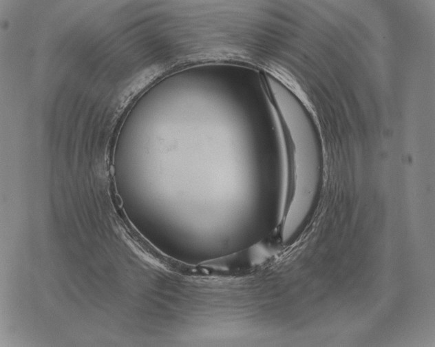 X0000070360389200606301836