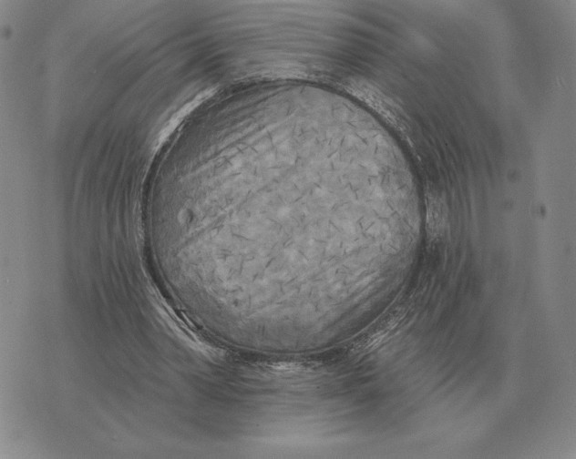 X0000070360390200606301836