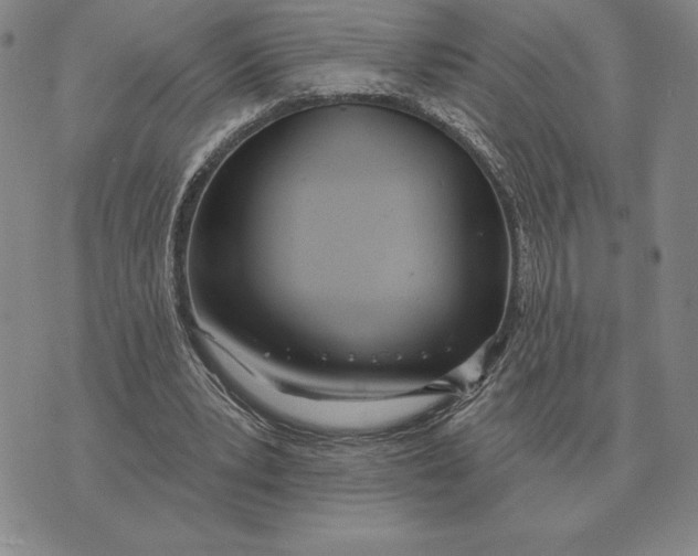 X0000070360391200606301836