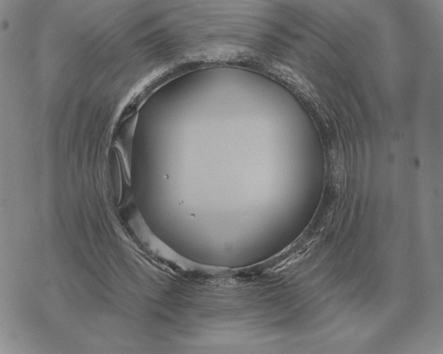 X0000070360392200606301836