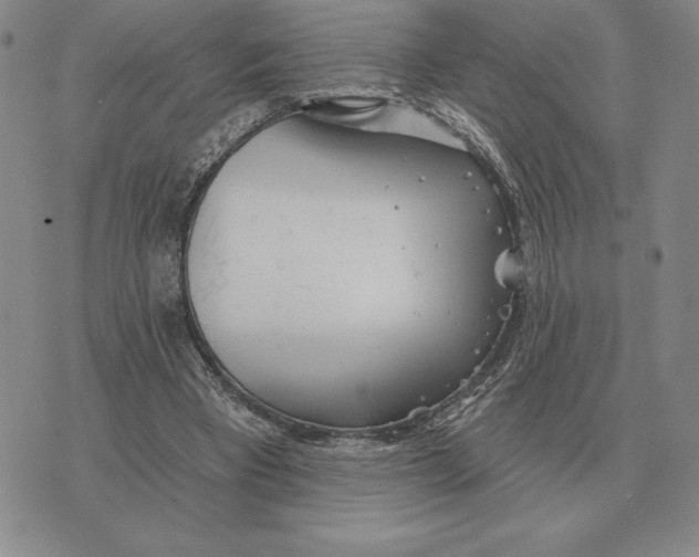 X0000070360393200606301836