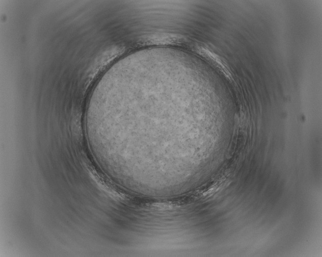 X0000070360394200606301836