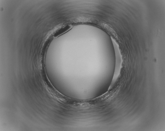 X0000070360395200606301836