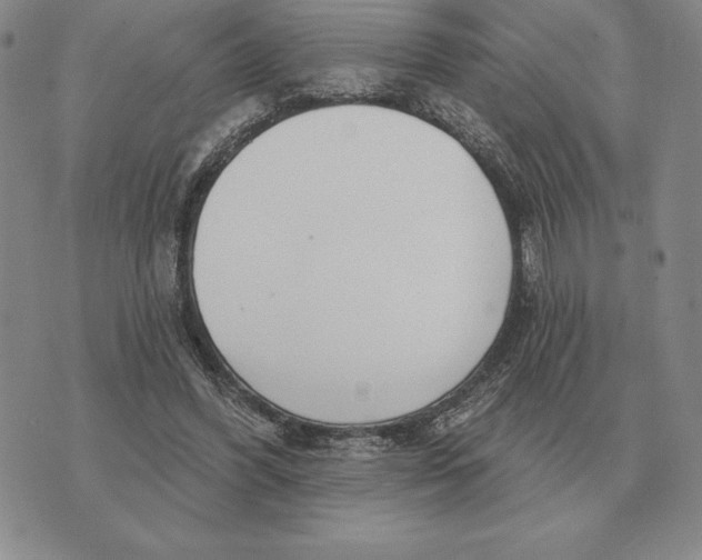 X0000070360396200606301836