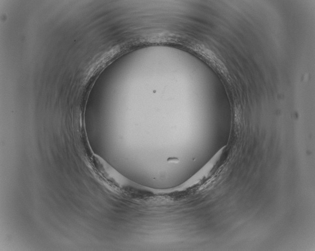 X0000070360397200606301836