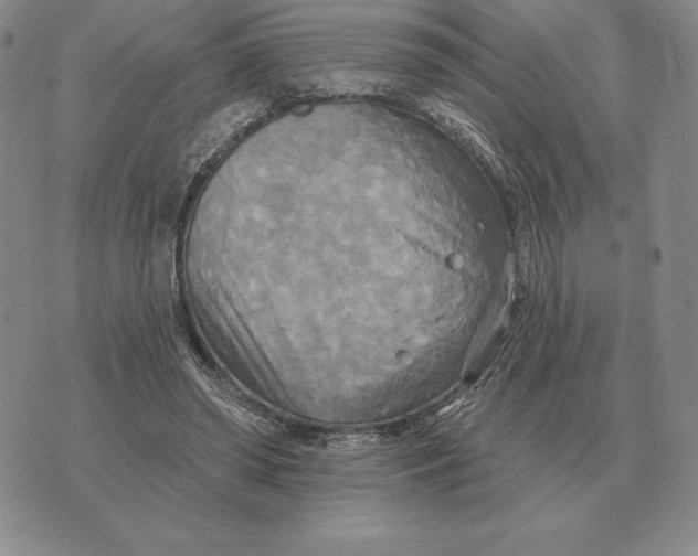 X0000070360398200606301836