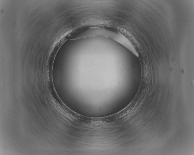 X0000070360399200606301836