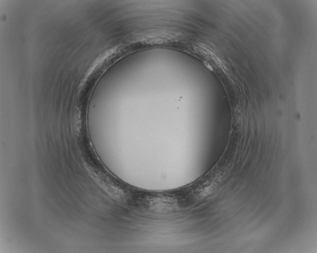 X0000070360400200606301836