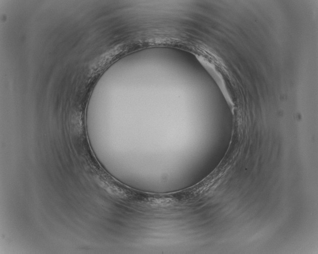 X0000070360401200606301836