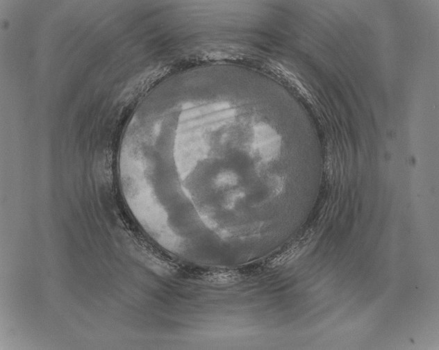 X0000070360402200606301836