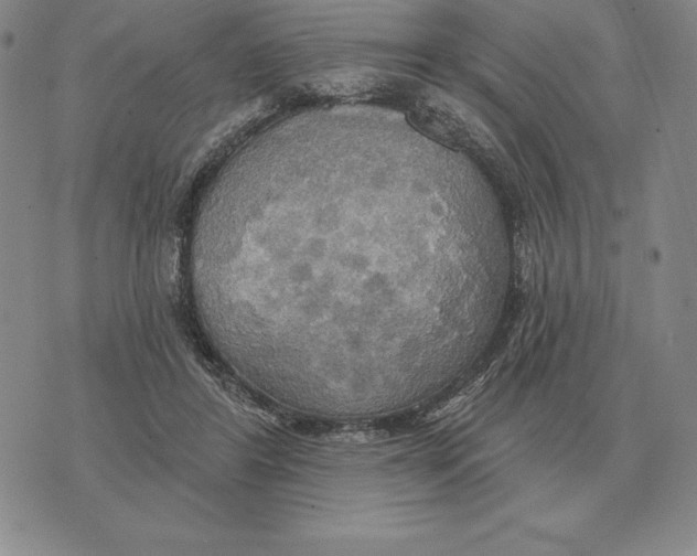 X0000070360404200606301836