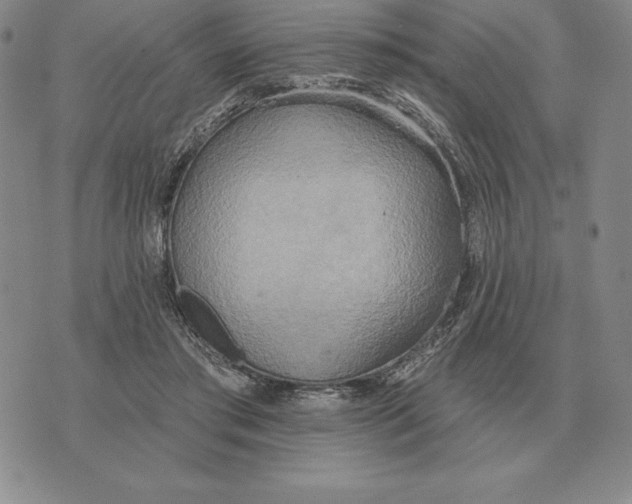 X0000070360405200606301836