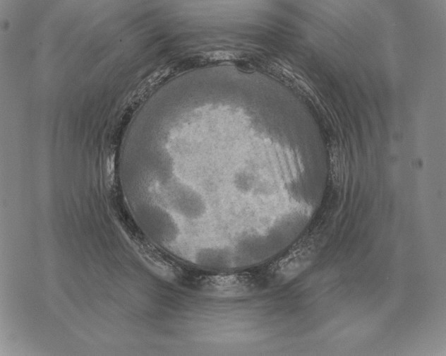 X0000070360406200606301836