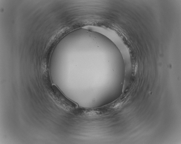 X0000070360407200606301836