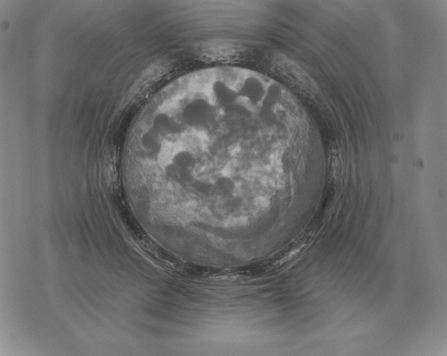 X0000070360408200606301836