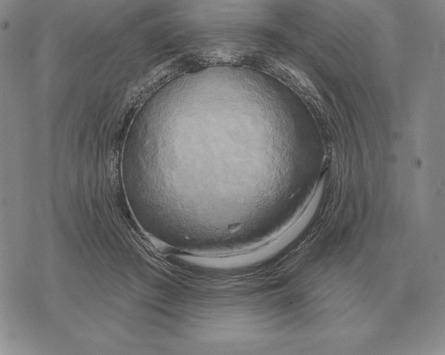 X0000070360409200606301836