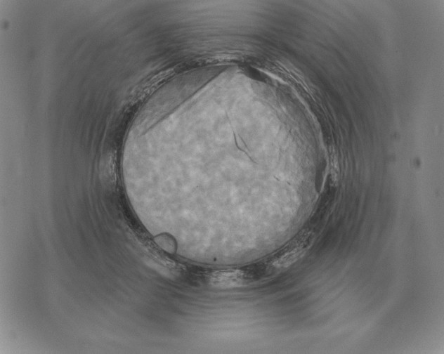 X0000070360410200606301836