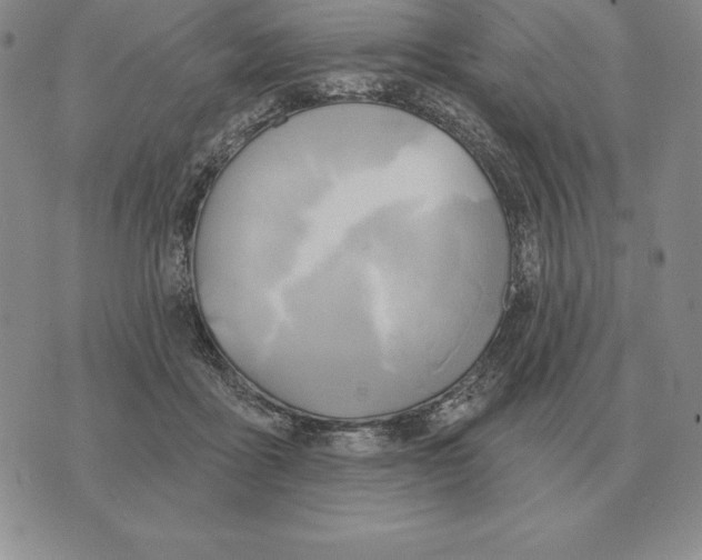 X0000070360411200606301836