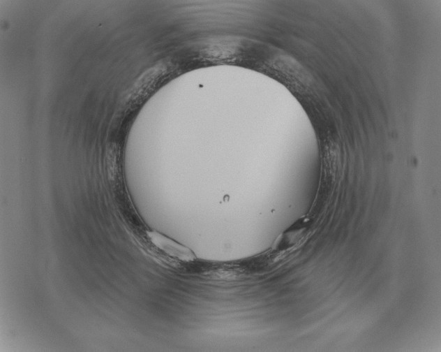 X0000070360412200606301836