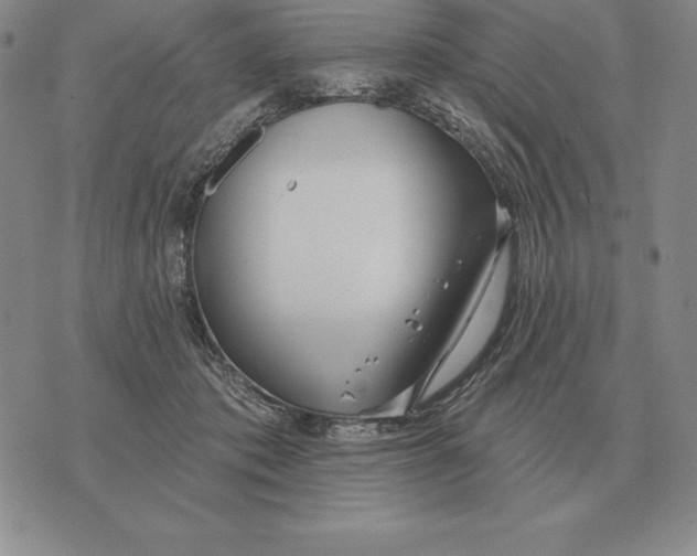 X0000070360413200606301836