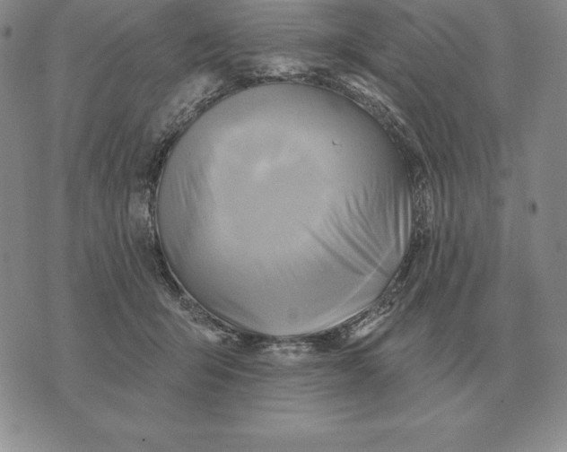 X0000070360415200606301836